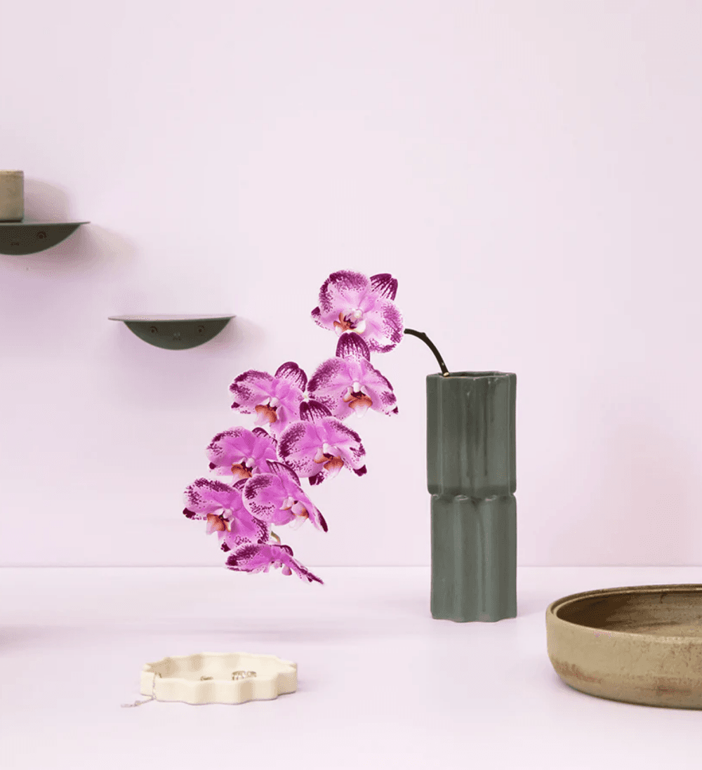 RJ Living project image
