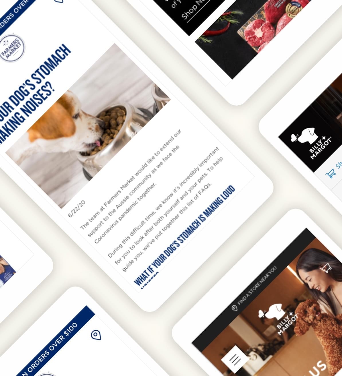 The Real Pet Food Company project image 1