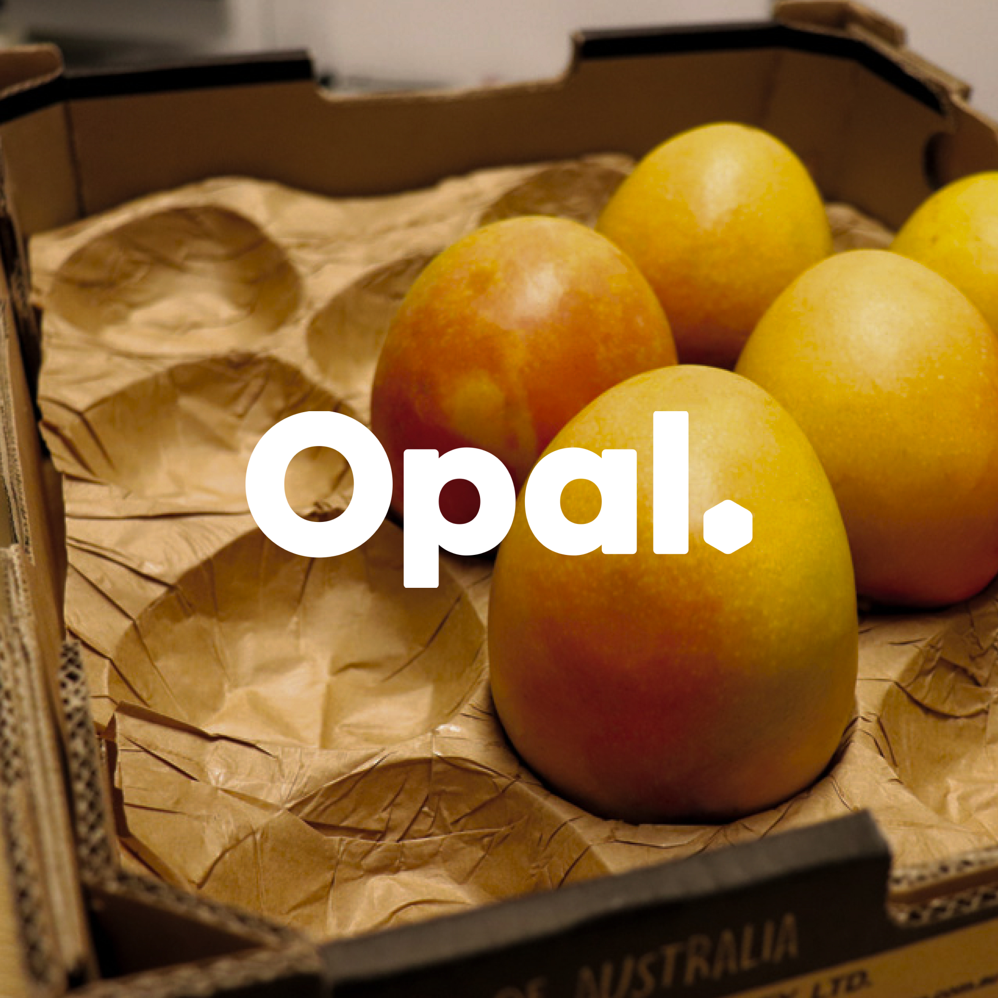 Opal Packaging